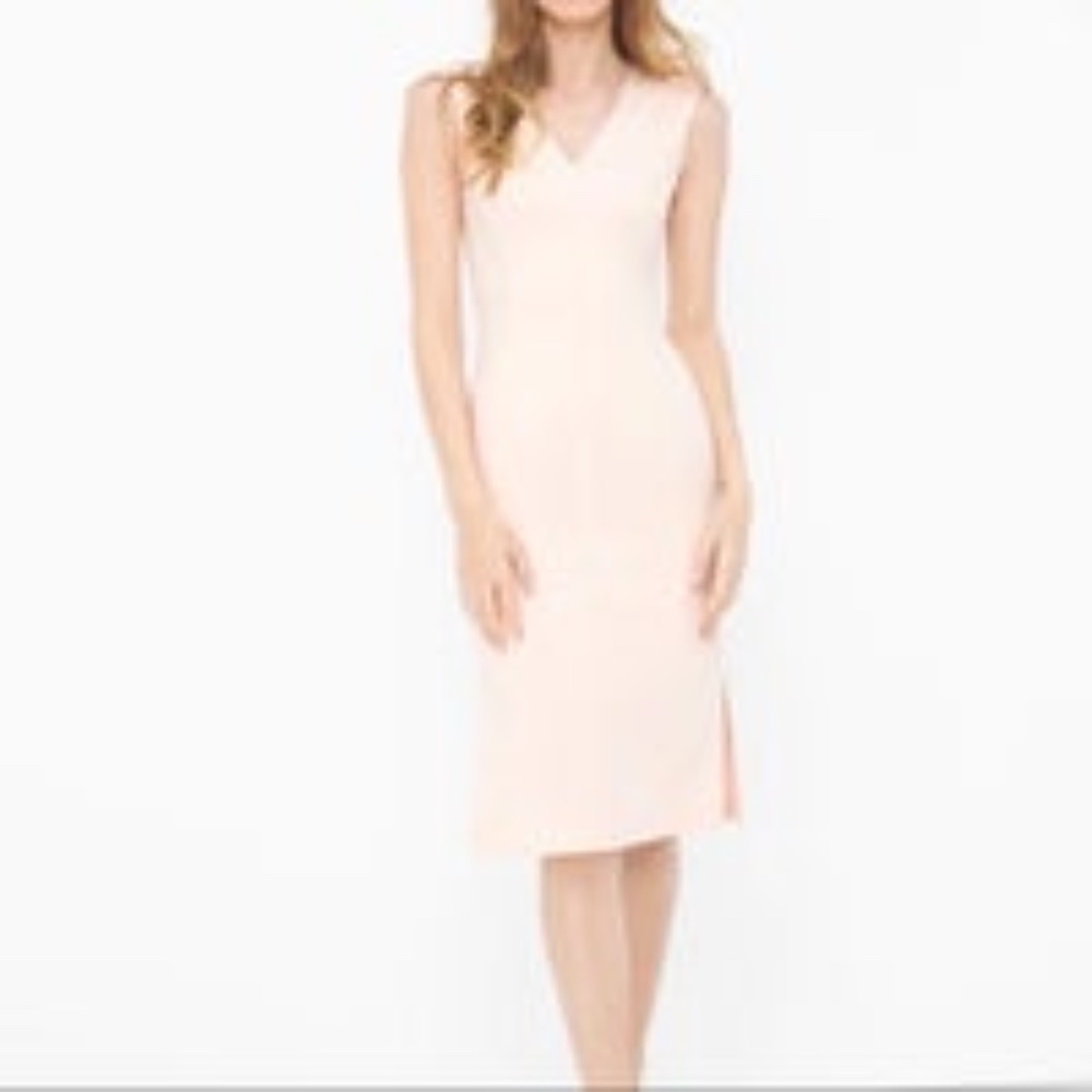 WHBM Seared Side Blush Pink Sheath Dress Sz 4